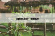 多特球队新闻？ 多特球迷？