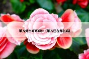 莱万受伤吓坏拜仁（莱万还在拜仁吗）