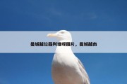 曼城越位裁判谁呀图片，曼城越南