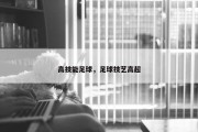 高技能足球，足球技艺高超