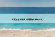 武磊加盟足球队（武磊加入哪支球队）