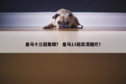 皇马十三冠集锦？ 皇马13冠高清图片？