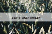 后面大小Q，大后面可以跟什么量词