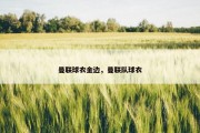 曼联球衣金边，曼联队球衣