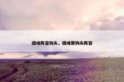 摄魂阵容狗头，摄魂使狗头阵容