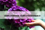 欧洲杯14号球衣号码（欧洲杯14号球衣号码是多少）