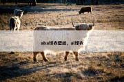 aba球衣壁纸，al球衣