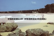 呼浩特足球队小学（呼和浩特足协少年足球队）
