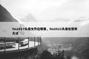 fm2017头像文件在哪里，fm2021头像包使用方法