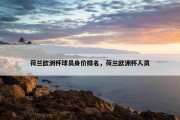 荷兰欧洲杯球员身价排名，荷兰欧洲杯人员