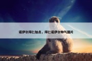 诺伊尔拜仁加点，拜仁诺伊尔帅气图片