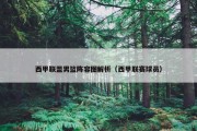 西甲联盟男篮阵容图解析（西甲联赛球员）