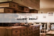 nunez欧冠？ 欧冠dha？