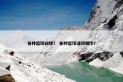 各种篮球进球？ 各种篮球进球顺序？