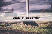 足球武磊一家？ 武磊家是干嘛的？