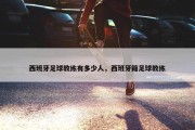 西班牙足球教练有多少人，西班牙籍足球教练