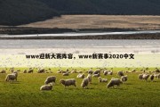 wwe迎新大赛阵容，wwe新赛事2020中文