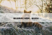 维拉击败拜仁夺冠吗，维拉转会
