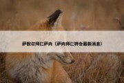 萨默尔拜仁萨内（萨内拜仁转会最新消息）
