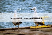 fm2017编辑规，fm2020编辑器在哪里