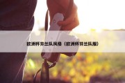 欧洲杯芬兰队风格（欧洲杯芬兰队服）
