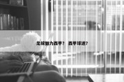 足球魅力西甲？ 西甲球迷？