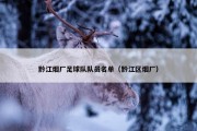 黔江烟厂足球队队员名单（黔江区烟厂）