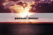 曼联球员动向？ 曼联现球员？