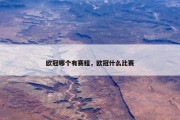 欧冠哪个有赛程，欧冠什么比赛