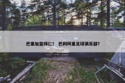 巴里加盟拜仁？ 巴利阿里足球俱乐部？