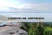 上次欧洲杯丹麦vs法国，欧洲杯丹麦对战芬兰