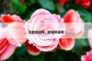 兰欧冠进球，欧冠杯进球