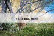 拜仁vs红星图片，拜仁拜仁