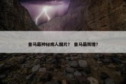 皇马最神秘病人图片？ 皇马最辉煌？