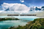 欧洲杯足球曼联？ 欧洲杯足球曼联队阵容？