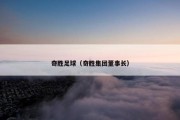 奇胜足球（奇胜集团董事长）