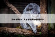 男子冰球队？ 男子冰球队加时负韩国？