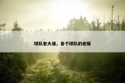 球队老大谁，各个球队的老板