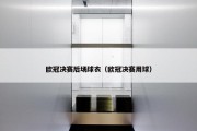 欧冠决赛后场球衣（欧冠决赛用球）