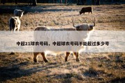 中超21球衣号码，中超球衣号码不能超过多少号