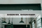 森纳英超精彩集锦，森纳英超精彩集锦视频