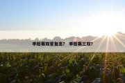 季后赛双星复出？ 季后赛三双？