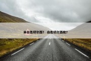 米白色切尔西？ 白色切尔西靴？