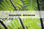 西班牙各进球时间，西班牙进球时间表