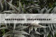 河南青少年甲组篮球队？ 河南青少年甲组篮球队名单？