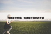 中超联赛榜样原版（中超联赛榜样原版在哪看）