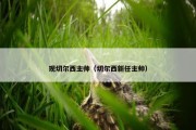 现切尔西主帅（切尔西新任主帅）