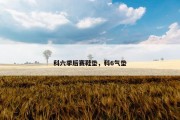 科六季后赛鞋垫，科6气垫