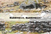泰山联赛夺冠几次，泰山联赛夺冠几次了