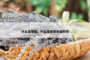 什么足球组，什么足球填合适的词